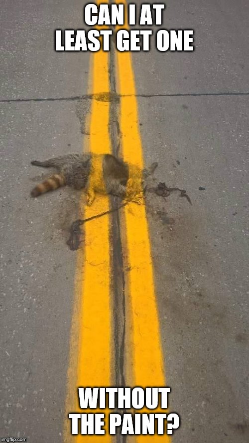 Roadkill line paint | CAN I AT LEAST GET ONE WITHOUT THE PAINT? | image tagged in roadkill line paint | made w/ Imgflip meme maker