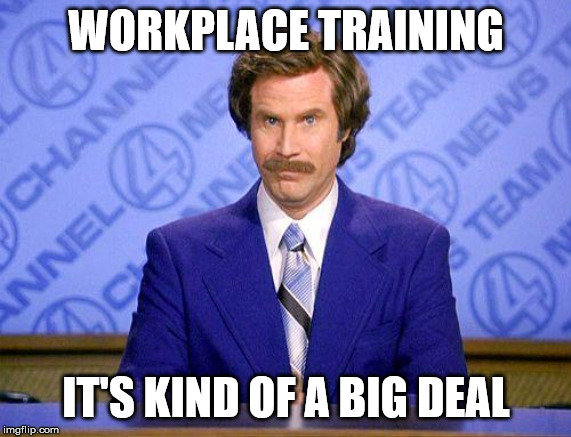 anchorman news update | WORKPLACE TRAINING; IT'S KIND OF A BIG DEAL | image tagged in anchorman news update | made w/ Imgflip meme maker