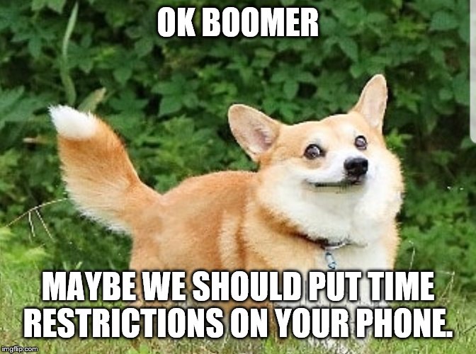 OK Boomer Corgi | OK BOOMER MAYBE WE SHOULD PUT TIME RESTRICTIONS ON YOUR PHONE. | image tagged in ok boomer corgi | made w/ Imgflip meme maker