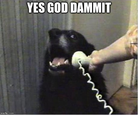 Yes this is dog | YES GOD DAMMIT | image tagged in yes this is dog | made w/ Imgflip meme maker