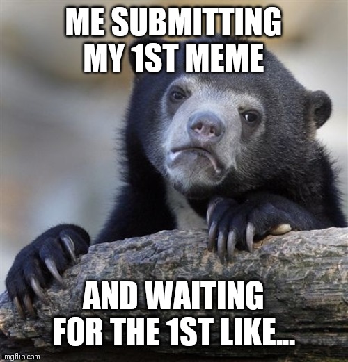 Confession Bear | ME SUBMITTING MY 1ST MEME; AND WAITING FOR THE 1ST LIKE... | image tagged in memes,confession bear | made w/ Imgflip meme maker