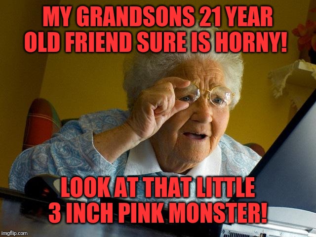 Grandma Finds The Internet Meme | MY GRANDSONS 21 YEAR OLD FRIEND SURE IS HORNY! LOOK AT THAT LITTLE 3 INCH PINK MONSTER! | image tagged in memes,grandma finds the internet | made w/ Imgflip meme maker