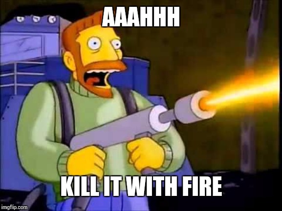 Kill it with fire | AAAHHH KILL IT WITH FIRE | image tagged in kill it with fire | made w/ Imgflip meme maker