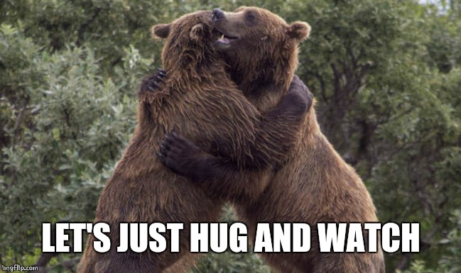 Bear hug | LET'S JUST HUG AND WATCH | image tagged in bear hug | made w/ Imgflip meme maker