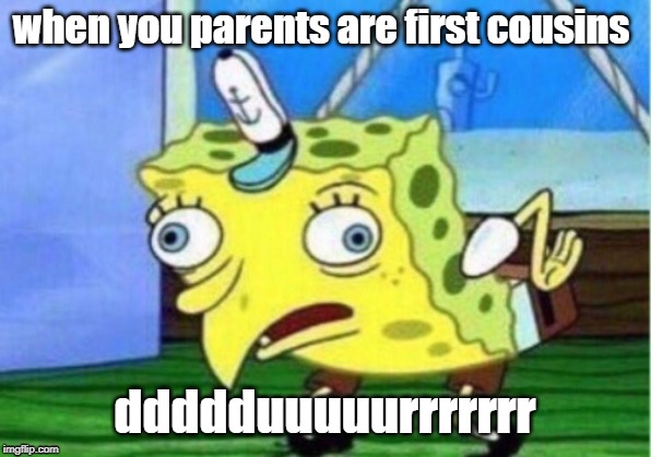 Mocking Spongebob | when you parents are first cousins; ddddduuuuurrrrrrr | image tagged in memes,mocking spongebob | made w/ Imgflip meme maker