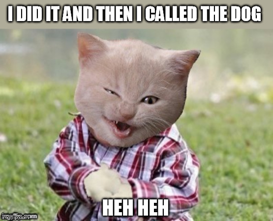 I DID IT AND THEN I CALLED THE DOG HEH HEH | made w/ Imgflip meme maker