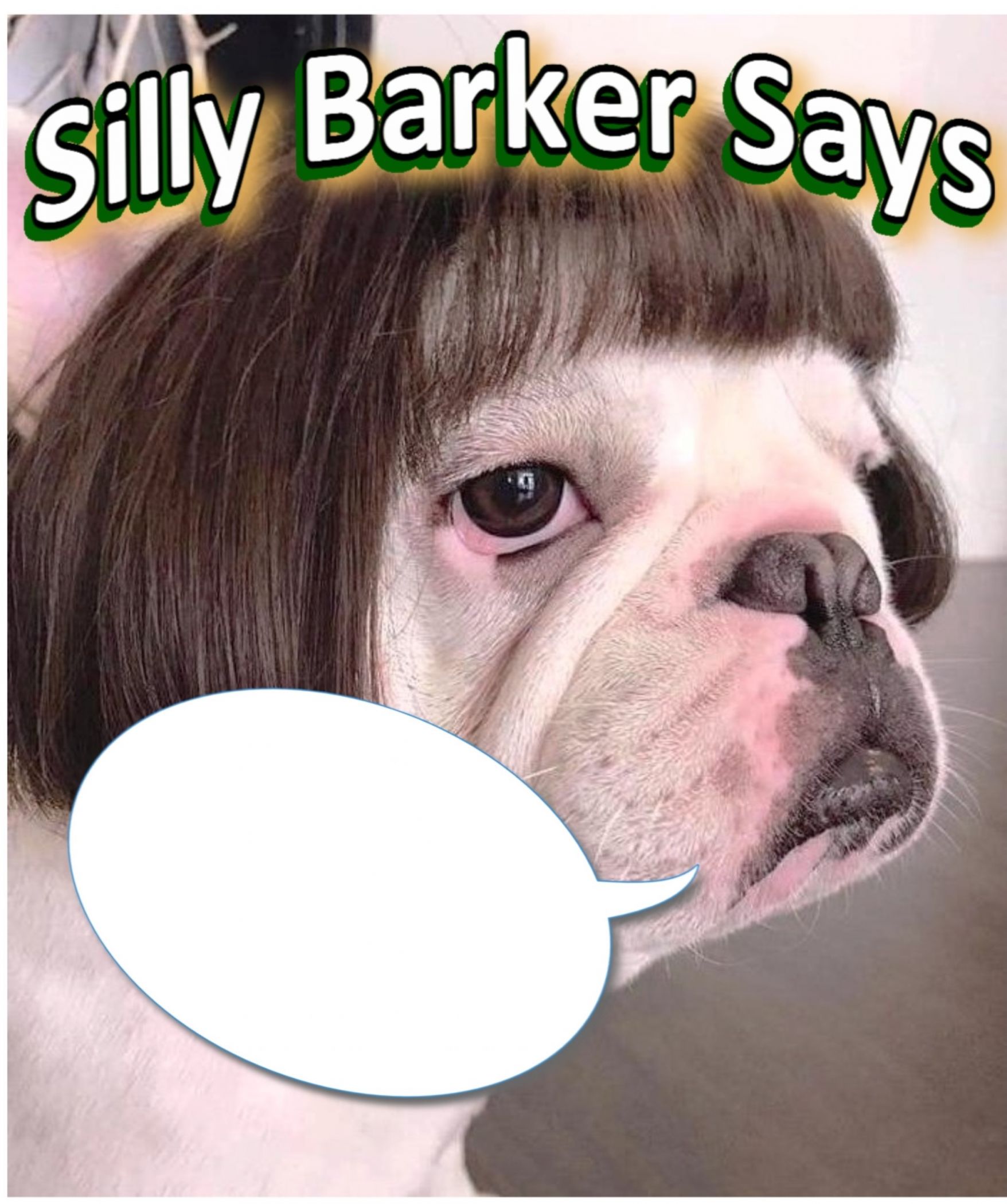 High Quality Silly Barker Says Blank Meme Template