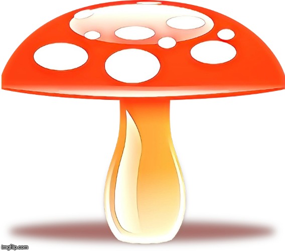 Mushroom! | image tagged in mushroom | made w/ Imgflip meme maker