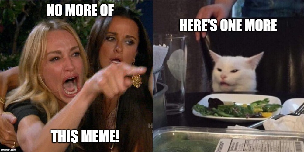 Woman yelling at cat | NO MORE OF                                                                                                                      HERE'S ONE MORE; THIS MEME! | image tagged in woman yelling at cat | made w/ Imgflip meme maker