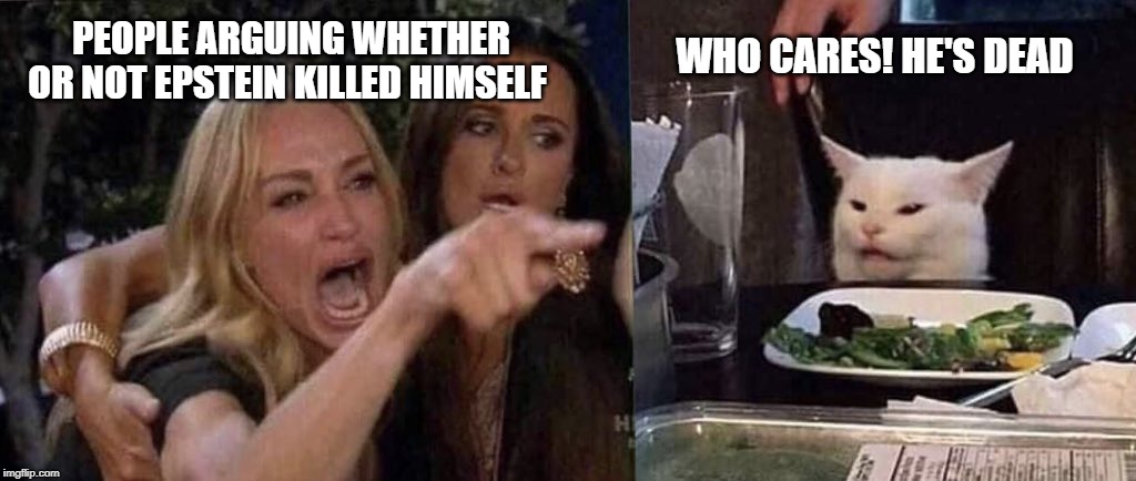 woman yelling at cat | PEOPLE ARGUING WHETHER OR NOT EPSTEIN KILLED HIMSELF; WHO CARES! HE'S DEAD | image tagged in woman yelling at cat | made w/ Imgflip meme maker