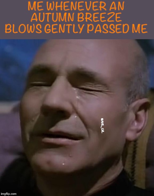 sadpicard | ME WHENEVER AN AUTUMN BREEZE BLOWS GENTLY PASSED ME; @AVIL_GIL | image tagged in sadpicard | made w/ Imgflip meme maker