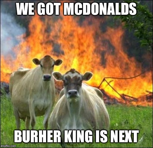 Evil Cows Meme | WE GOT MCDONALDS; BURHER KING IS NEXT | image tagged in memes,evil cows | made w/ Imgflip meme maker