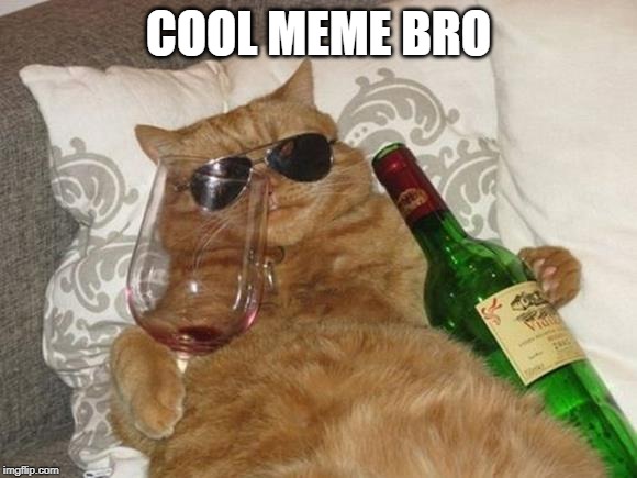 Funny Cat Birthday | COOL MEME BRO | image tagged in funny cat birthday | made w/ Imgflip meme maker