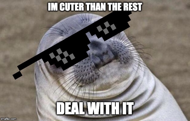 Awkward Moment Sealion | IM CUTER THAN THE REST; DEAL WITH IT | image tagged in memes,awkward moment sealion | made w/ Imgflip meme maker