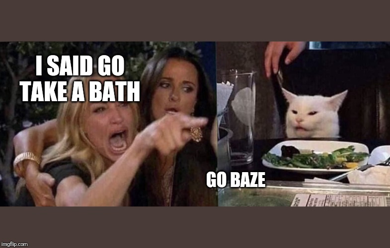 woman yelling at cat | I SAID GO TAKE A BATH; GO BAZE | image tagged in woman yelling at cat | made w/ Imgflip meme maker