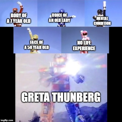 Power Rangers | VOICE OF AN OLD LADY; BODY OF A 7 YEAR OLD; MENTAL CONDITION; NO LIFE EXPERIENCE; FACE OF A 50 YEAR OLD; GRETA THUNBERG | image tagged in power rangers | made w/ Imgflip meme maker
