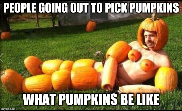 PumpkinSpice | PEOPLE GOING OUT TO PICK PUMPKINS; WHAT PUMPKINS BE LIKE | image tagged in pumpkinspice | made w/ Imgflip meme maker