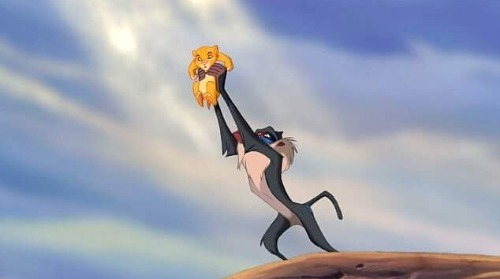 High Quality Simba held up Blank Meme Template