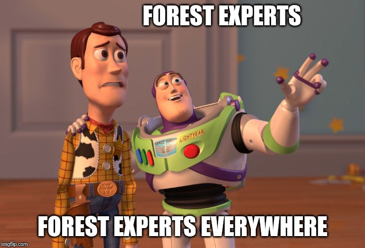 X, X Everywhere Meme | FOREST EXPERTS FOREST EXPERTS EVERYWHERE | image tagged in memes,x x everywhere | made w/ Imgflip meme maker