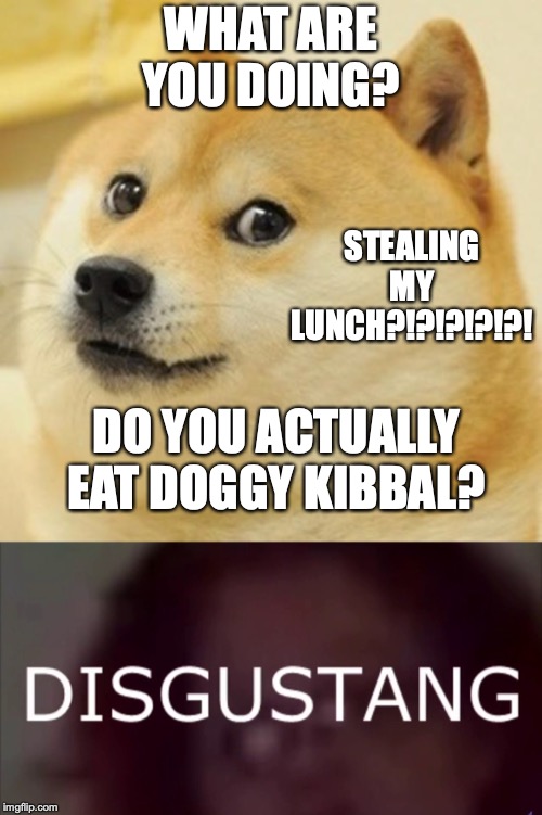 WHAT ARE YOU DOING? STEALING MY LUNCH?!?!?!?!?! DO YOU ACTUALLY EAT DOGGY KIBBAL? | image tagged in memes,doge,disgustang | made w/ Imgflip meme maker