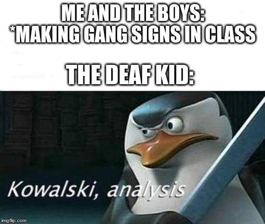 kowalski, analysis |  ME AND THE BOYS: *MAKING GANG SIGNS IN CLASS; THE DEAF KID: | image tagged in kowalski analysis | made w/ Imgflip meme maker