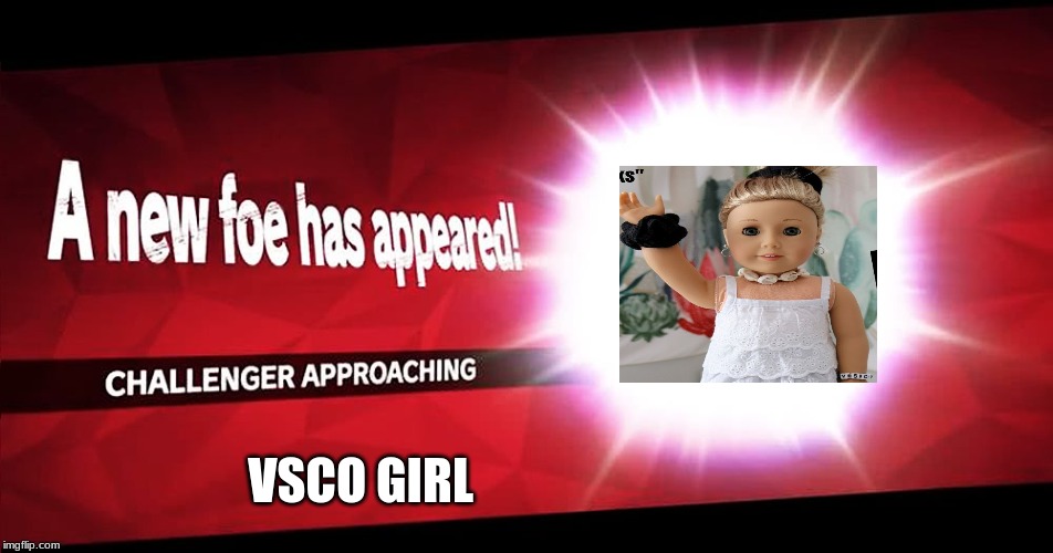Vsco Girl join super smash bros ultimate | VSCO GIRL | image tagged in super smash bros,memes | made w/ Imgflip meme maker