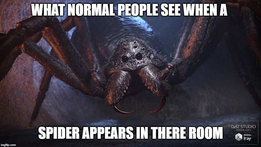 WHAT NORMAL PEOPLE SEE WHEN A; SPIDER APPEARS IN THERE ROOM | image tagged in normie | made w/ Imgflip meme maker