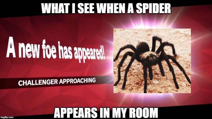 Challenger approaching | WHAT I SEE WHEN A SPIDER; APPEARS IN MY ROOM | image tagged in challenger approaching | made w/ Imgflip meme maker