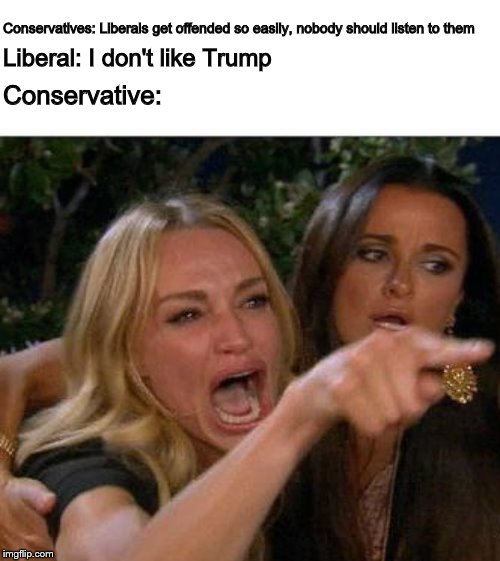 Bet at least one snowflake is going to comment on this | Conservatives: Liberals get offended so easily, nobody should listen to them; Liberal: I don't like Trump; Conservative: | image tagged in memes,oprah you get a,conservative logic,stupid conservatives,snowflakes | made w/ Imgflip meme maker