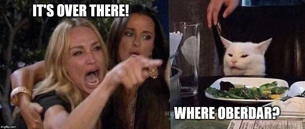 woman yelling at cat | IT'S OVER THERE! WHERE OBERDAR? | image tagged in woman yelling at cat | made w/ Imgflip meme maker