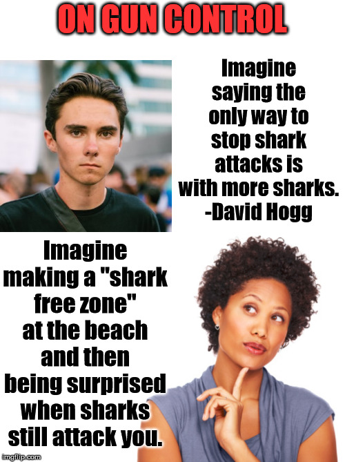 Why gun control will never work. | ON GUN CONTROL; Imagine saying the only way to stop shark attacks is with more sharks.
-David Hogg; Imagine making a "shark free zone" at the beach and then being surprised when sharks still attack you. | image tagged in david hogg,thinking meme,gun control,2nd amendment | made w/ Imgflip meme maker