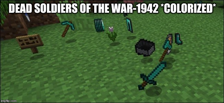 Soldier | DEAD SOLDIERS OF THE WAR-1942 *COLORIZED* | image tagged in soldier,war,minecraft | made w/ Imgflip meme maker