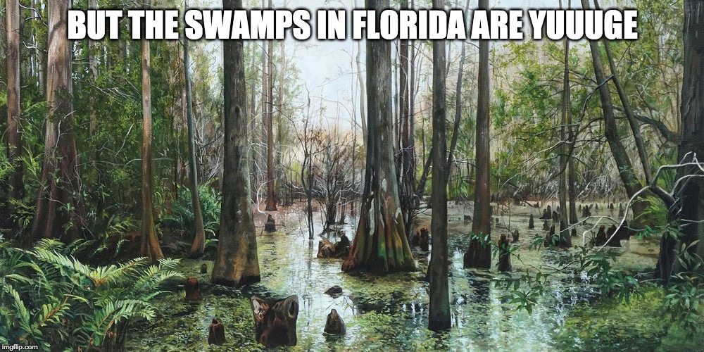 BUT THE SWAMPS IN FLORIDA ARE YUUUGE | made w/ Imgflip meme maker