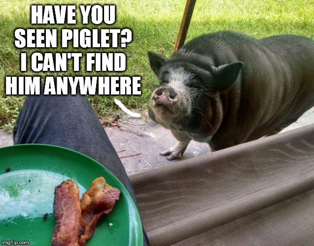 HAVE YOU SEEN PIGLET? I CAN'T FIND HIM ANYWHERE | made w/ Imgflip meme maker