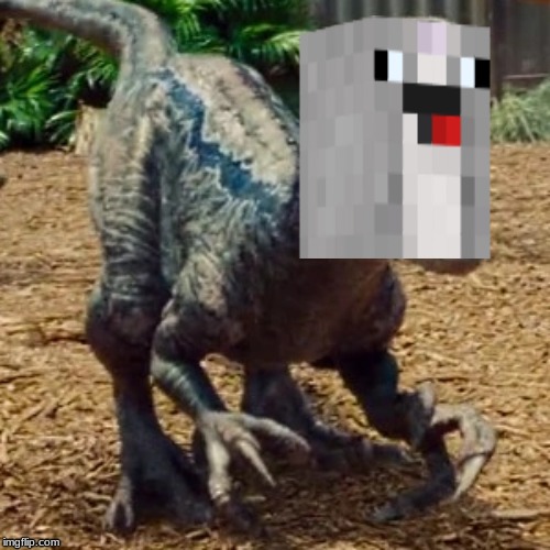 rossraptor picture meme | image tagged in minecraft,memes | made w/ Imgflip meme maker