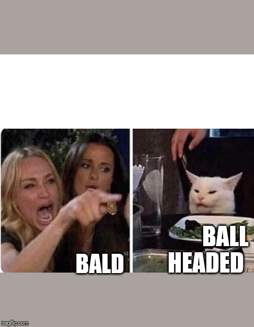 Ladies Yelling at Confused Cat | BALD; BALL HEADED | image tagged in ladies yelling at confused cat | made w/ Imgflip meme maker