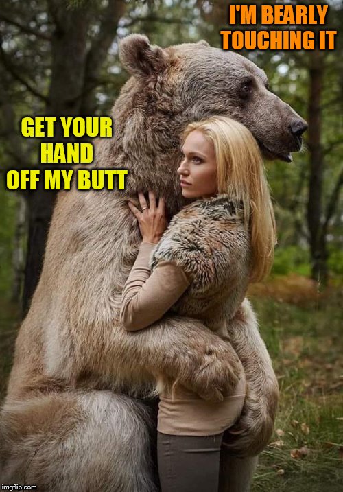 I'M BEARLY TOUCHING IT; GET YOUR HAND OFF MY BUTT | image tagged in bear,can't touch this,hug | made w/ Imgflip meme maker