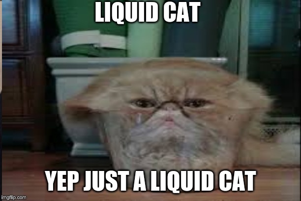 LIQUID CAT; YEP JUST A LIQUID CAT | image tagged in funny cat memes | made w/ Imgflip meme maker