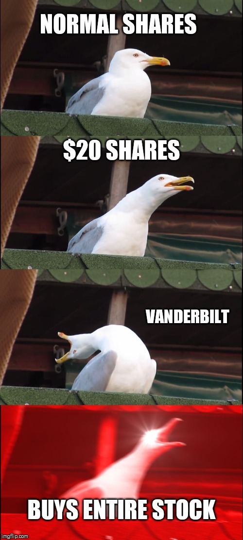 Inhaling Seagull | NORMAL SHARES; $20 SHARES; VANDERBILT; BUYS ENTIRE STOCK | image tagged in memes,inhaling seagull | made w/ Imgflip meme maker