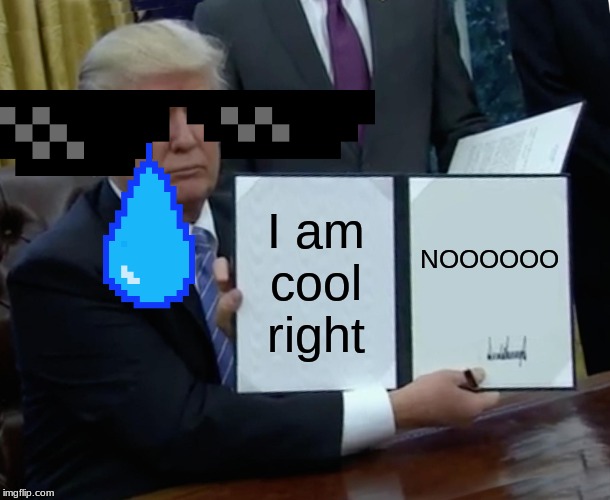 Trump Bill Signing Meme | I am cool right; NOOOOOO | image tagged in memes,trump bill signing | made w/ Imgflip meme maker