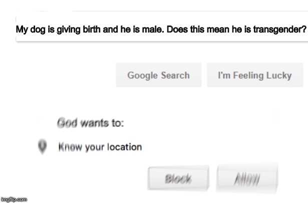 God wants to know your location | My dog is giving birth and he is male. Does this mean he is transgender? | image tagged in god wants to know your location | made w/ Imgflip meme maker