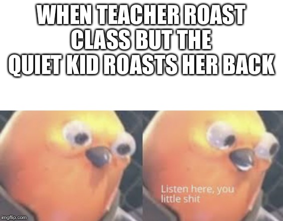 Listen here you little shit bird | WHEN TEACHER ROAST CLASS BUT THE QUIET KID ROASTS HER BACK | image tagged in listen here you little shit bird | made w/ Imgflip meme maker