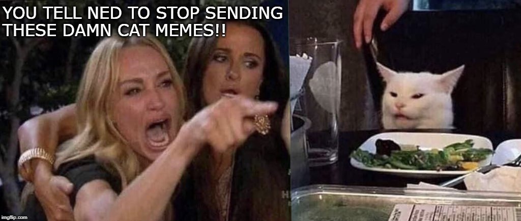 woman yelling at cat | YOU TELL NED TO STOP SENDING
THESE DAMN CAT MEMES!! | image tagged in woman yelling at cat | made w/ Imgflip meme maker