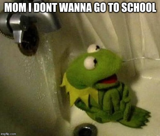Kermit on Shower | MOM I DONT WANNA GO TO SCHOOL | image tagged in kermit on shower | made w/ Imgflip meme maker