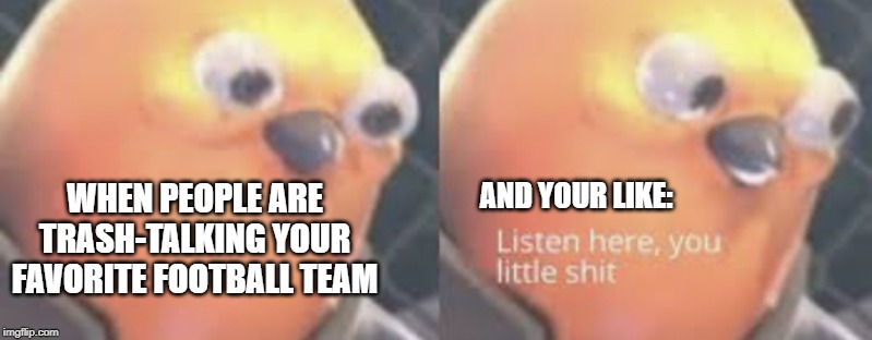 Listen here you little shit bird | AND YOUR LIKE:; WHEN PEOPLE ARE TRASH-TALKING YOUR FAVORITE FOOTBALL TEAM | image tagged in listen here you little shit bird | made w/ Imgflip meme maker