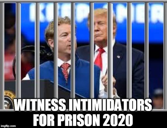 WITNESS INTIMIDATORS FOR PRISON 2020 | WITNESS INTIMIDATORS FOR PRISON 2020 | image tagged in trump,rand paul,prison,witness intimidation,politicians for prison | made w/ Imgflip meme maker