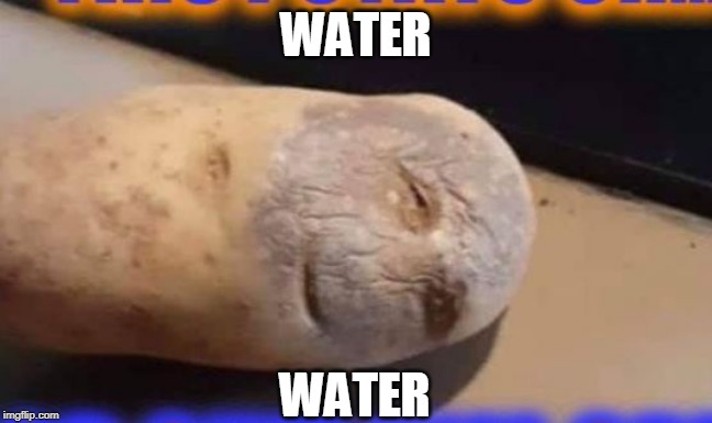 WATER WATER | made w/ Imgflip meme maker