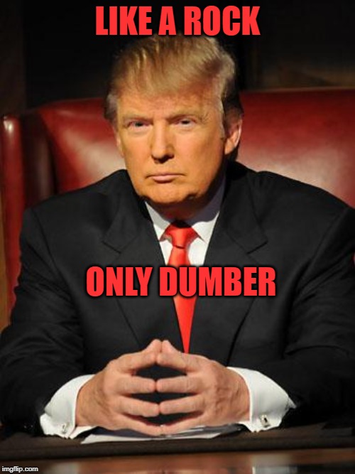 His supporters are even dumber | LIKE A ROCK; ONLY DUMBER | image tagged in serious trump | made w/ Imgflip meme maker