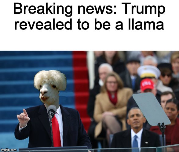 Not one person is surprised | Breaking news: Trump revealed to be a llama | image tagged in donald trump,trump sucks,stupid conservatives | made w/ Imgflip meme maker