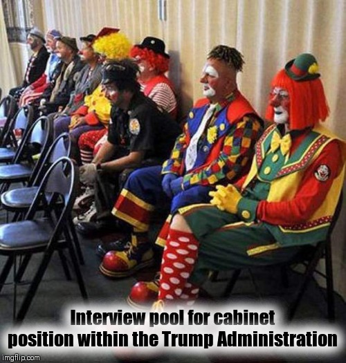 Interview pool for cabinet position within the Trump Administration | image tagged in donald trump,political meme,bring on the clowns | made w/ Imgflip meme maker